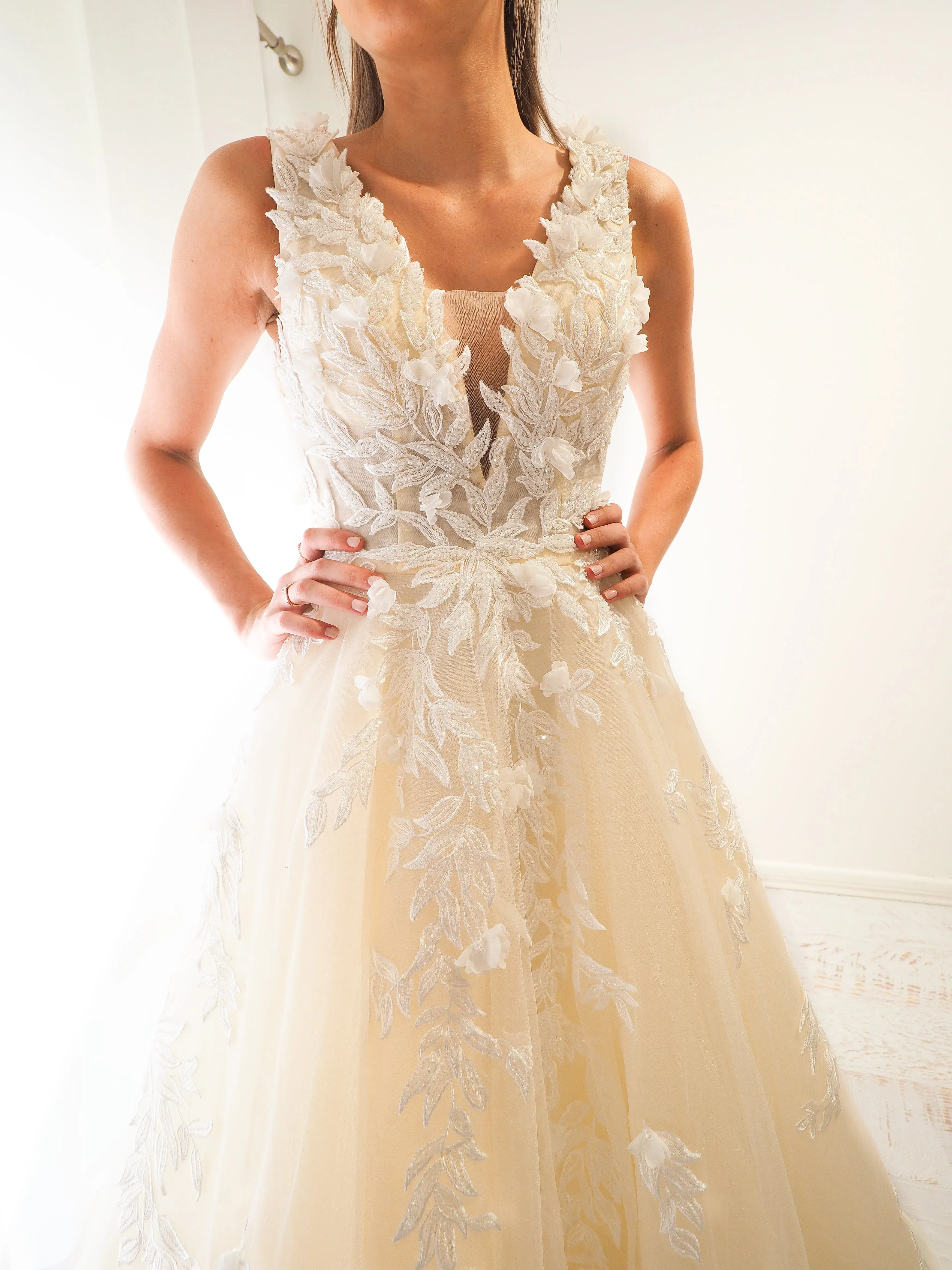 Ivory princess dress with V neck and 3D flower embroidery