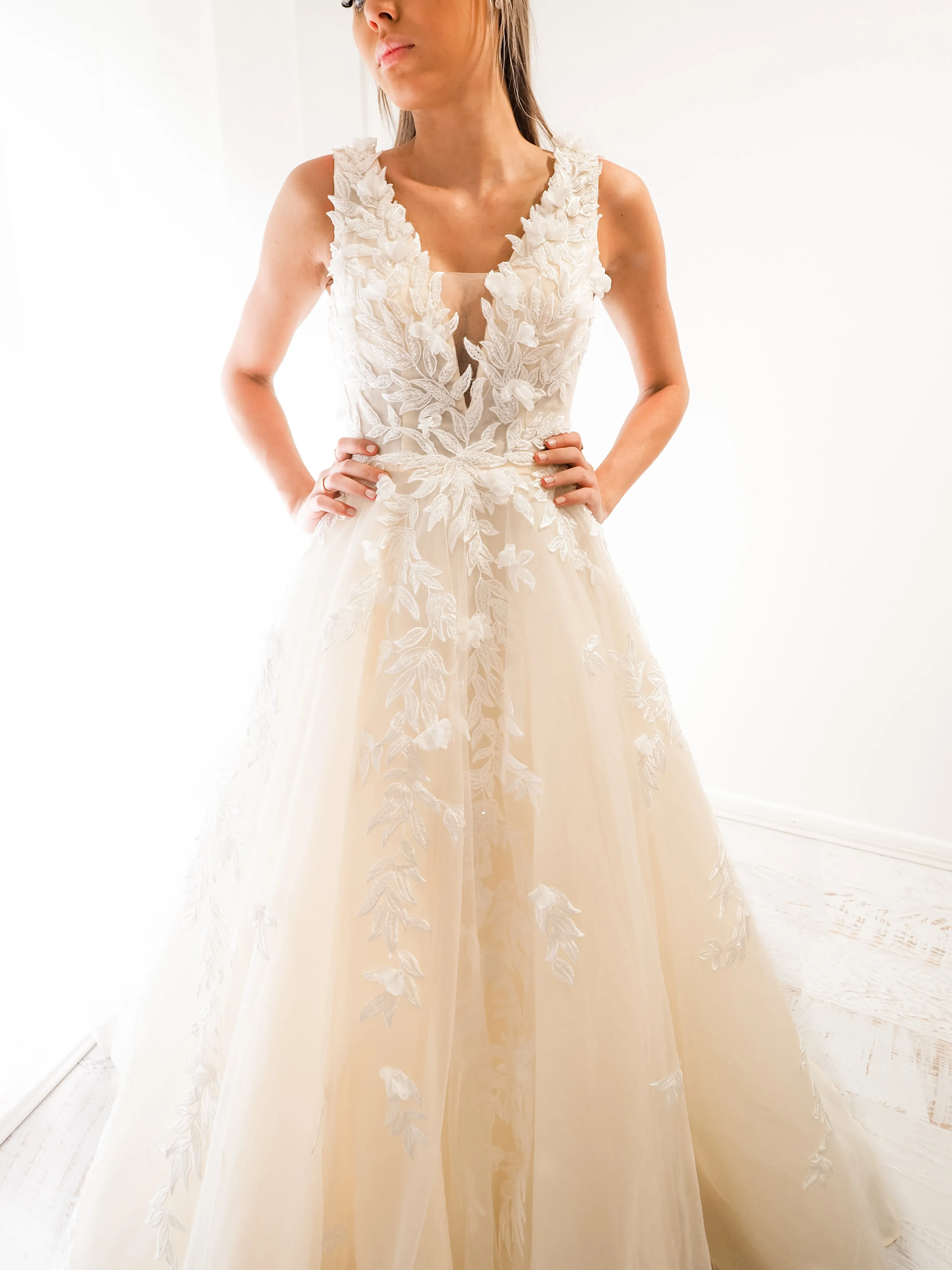 Ivory princess dress with V neck and 3D flower embroidery